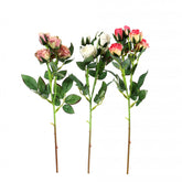 Rosenzweig med Miniblomster x 5 – 43 cm
